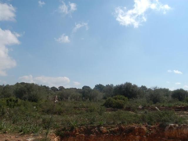 Rustic plot to build in preferred.. - 2