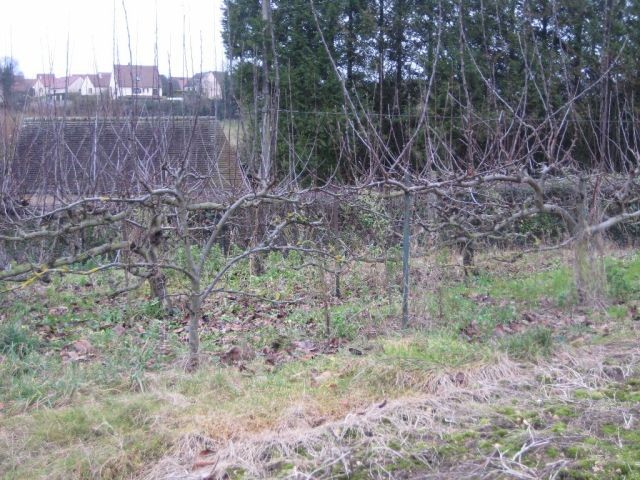 French Country House to Restore - 2