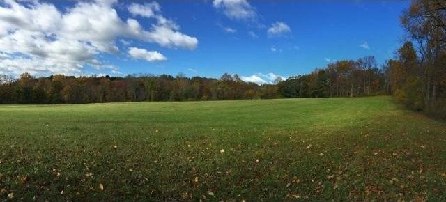 Land For Sale: 00 Willow ST. - 2