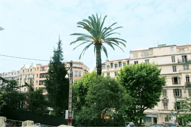Beautiful two bed in Cimiez - 2