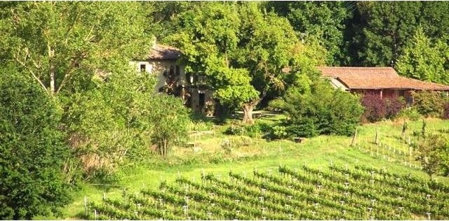 3 bedroom Land For Sale: San Gimignano