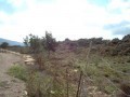 Plot In The Municipality Of Rethymno