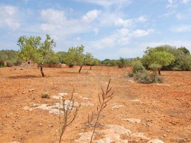 Generous plot close to the ammenities..