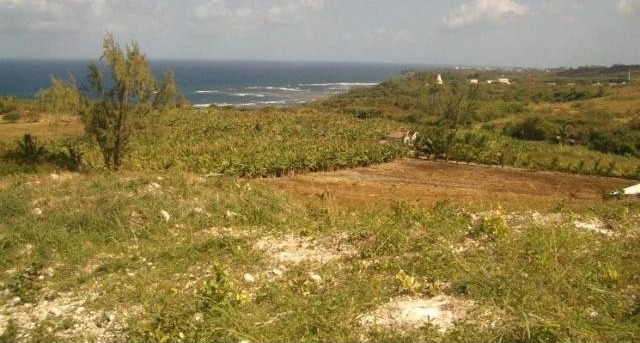 Property For Sale: Newcastle Park, Lot..