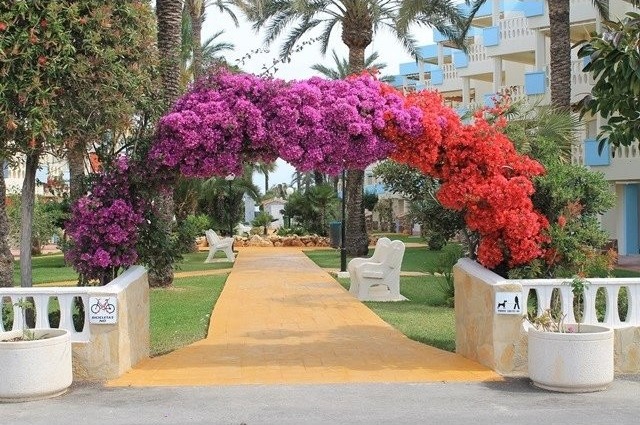 Apartment for sale in Denia - 2