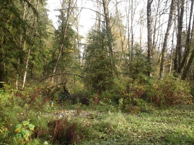 Land - Great private land for.. - 2