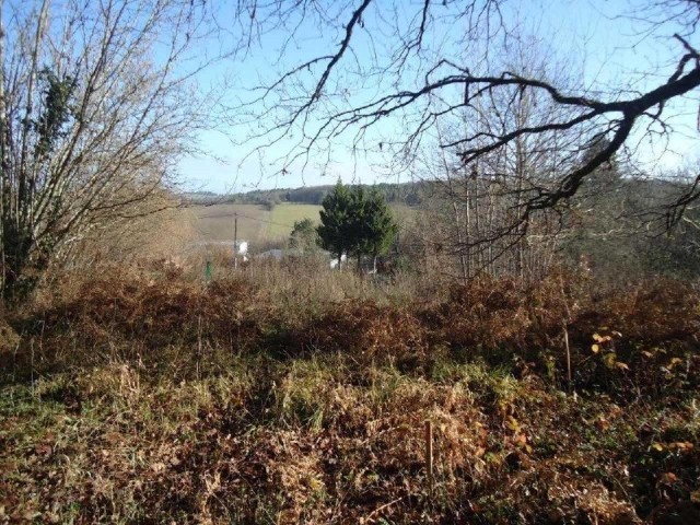 25291 - Vente - Terrain - Vergt