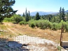 Crete Land For Sale In Undisturbed.. - 2