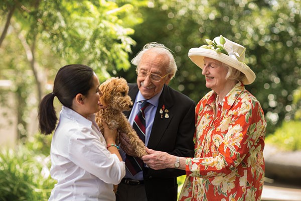 Home Care Services Wingecarribee Area -.. - 2