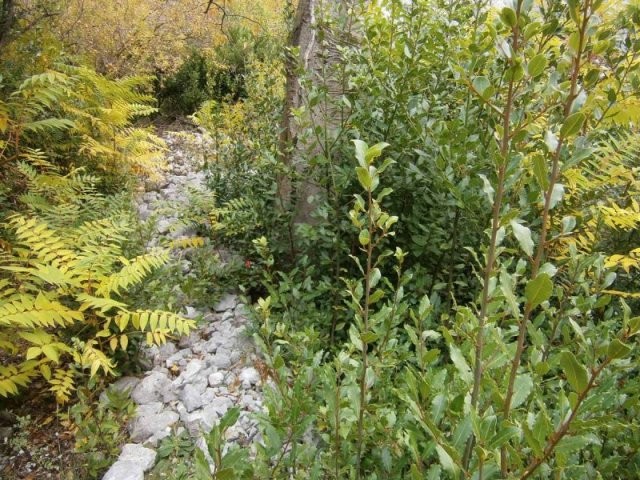Land in Orahovac, Kotor