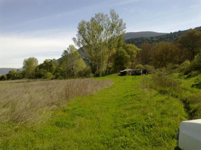 B143 - Land for Commercial use - Ideal.. - 2