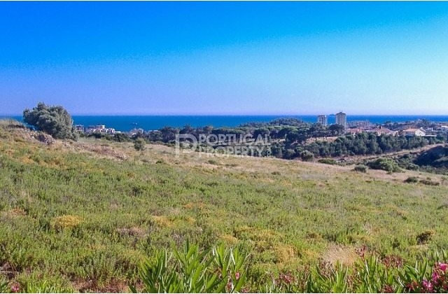 Beautiful 2 Bedroom Apartment in.. - 2