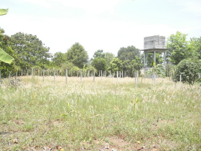 12 Rai plot of land in Pong, 3 min... - 2