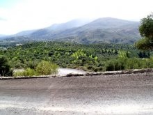 Land Property In Crete For Sale - 2