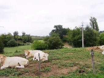 LOT ET GARONNE land a batir of 3842 m2 - 2