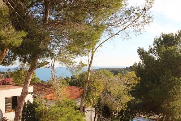 Plot in Benissa