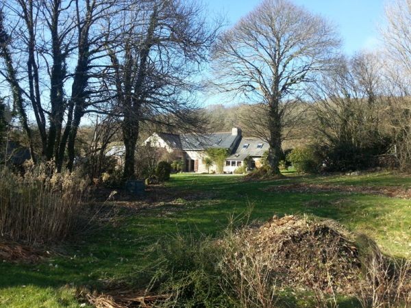 B&B Property with Potential, Land - 2