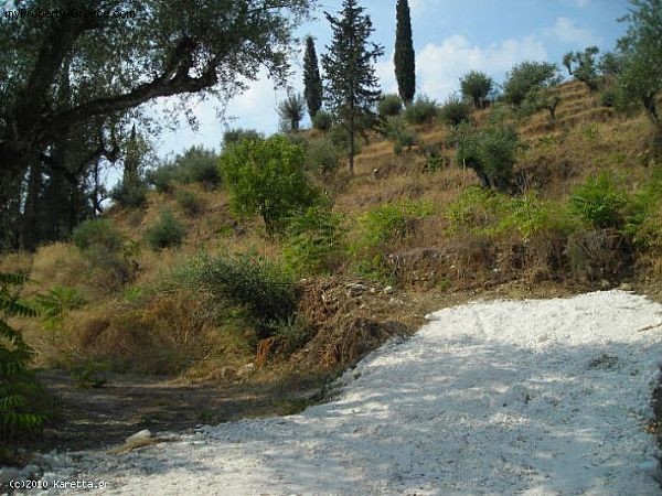 Land - Zakynthos - For Sale