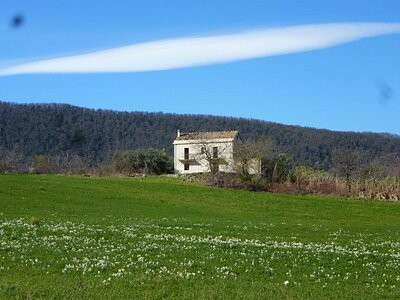 Partially restored property in a..