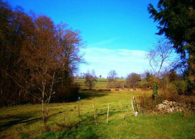 Charming Rose Cottage In A Quiet Hamlet - 2