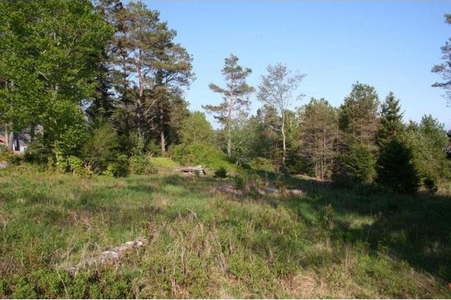 Land For Sale: Lot A2 Walker Cut Road.. - 2