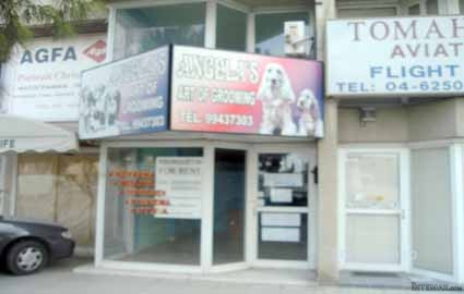 Larnaca