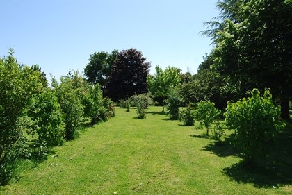 Pretty three-bed property with.. - 2