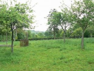Suberb Country House and Outbuilding - 2