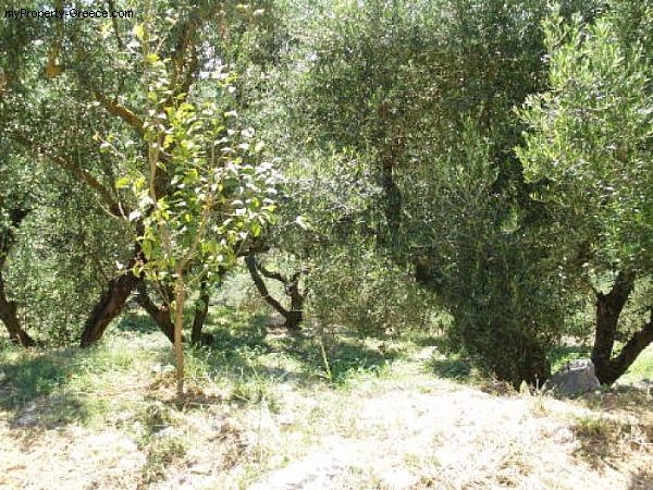 Villa - Zakynthos - For Sale - 2
