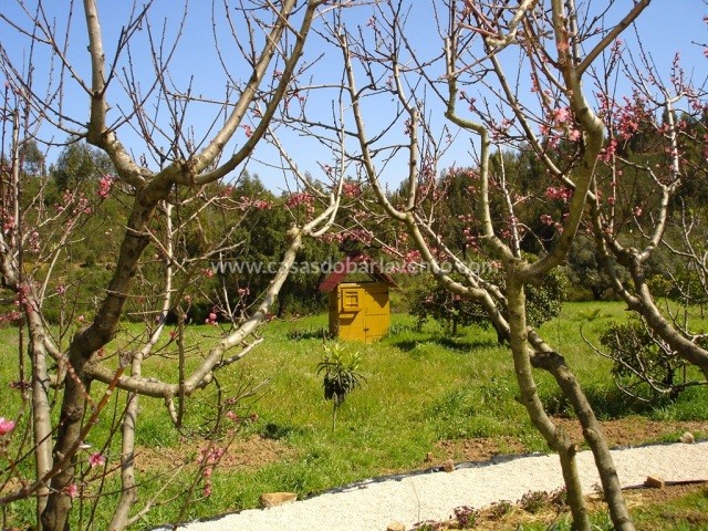 Apartment - Algarve - For Sale
