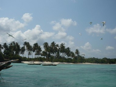 Land For Sale: Zanzibar beach & cliff.. - 2