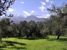 Crete Land Within Village Boundary For.. - 2