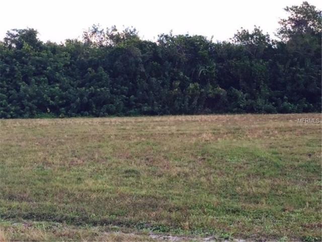 Land For Sale: 17416 Fuego Ln, Punta..