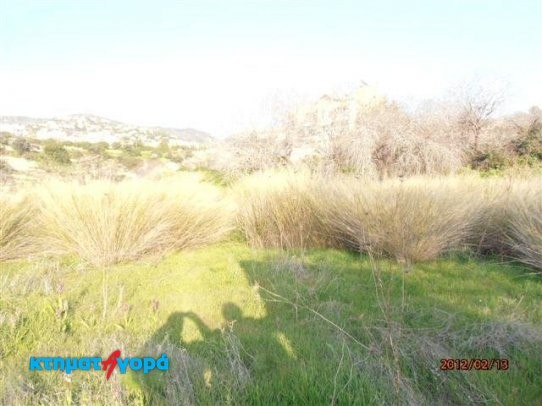 Residential Land in Tala, Pafos - 2