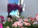 Duplex-Apartment in 1st sea line, Costa.. - 2