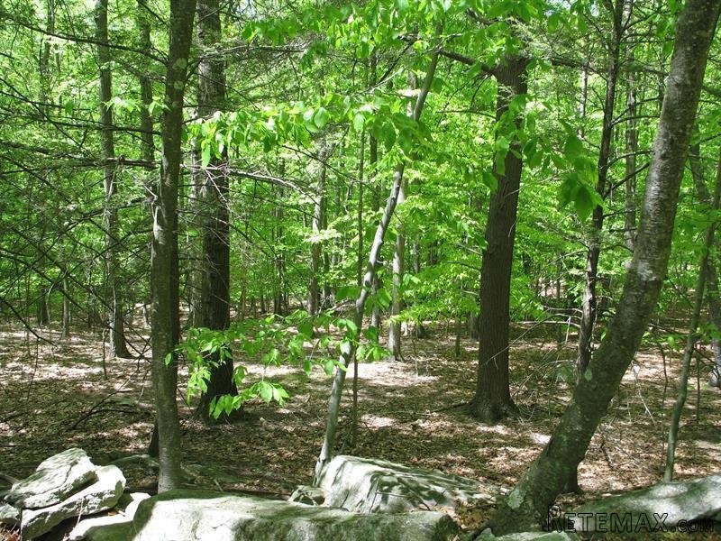 Land For Sale: 153 Shindagen Hill Road..