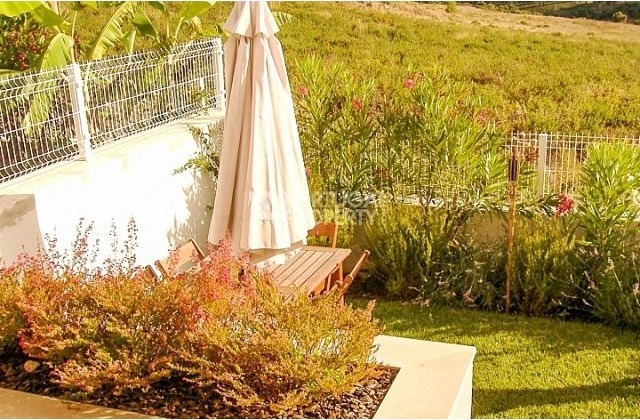 Beautiful 2 Bedroom Apartment in..
