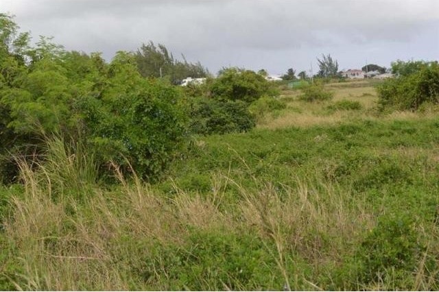 Property For Sale: Green Point Lot..
