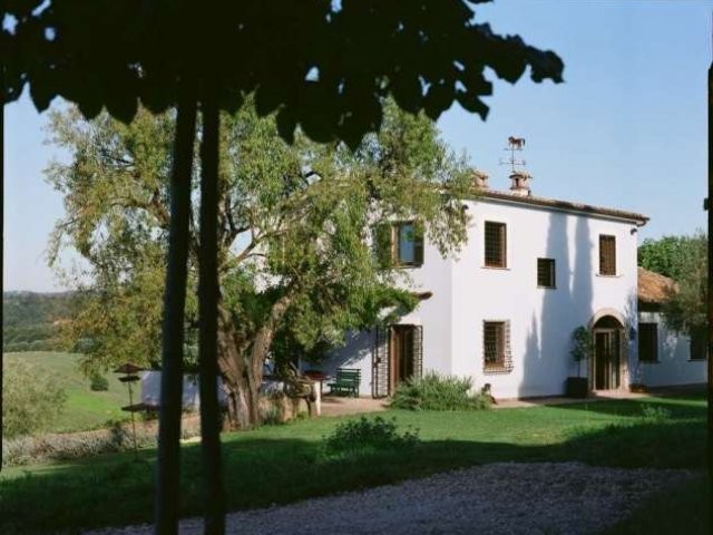 FARMHOUSE SURROUNDED BY GREENERY