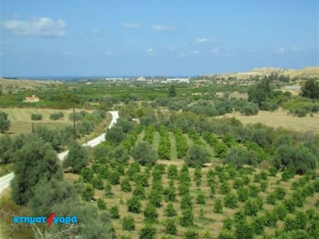 Agricultural Land in Goudi, Pafos