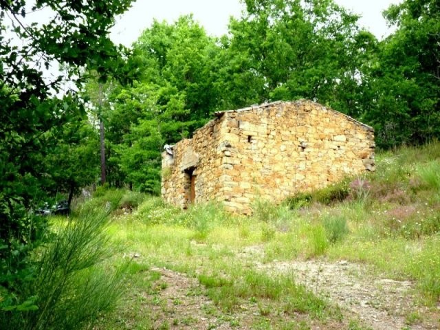 Stunning stream side 1 hectare plot..