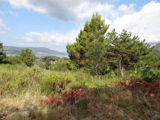 Land in Kavač, Kotor - 2