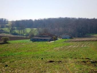 Situated In A Beautiful & Quiet..