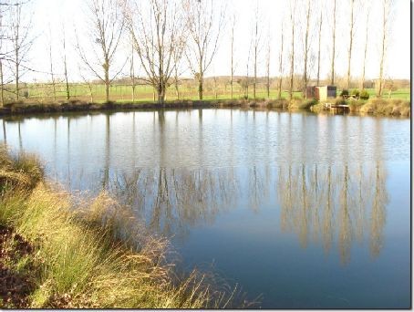 Fishing pond surrounded by mature trees.