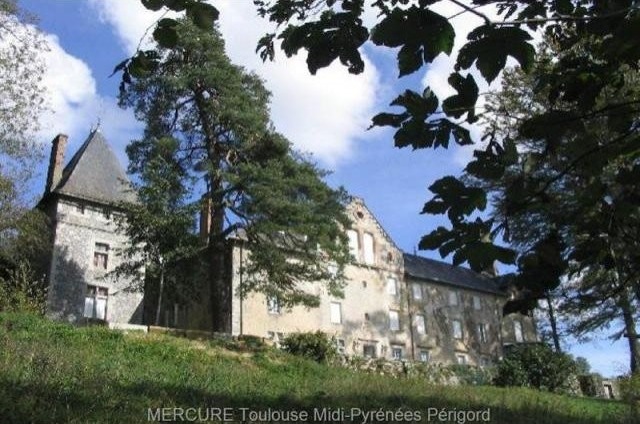 8 bedroom Castle For Sale: 81000 TARN