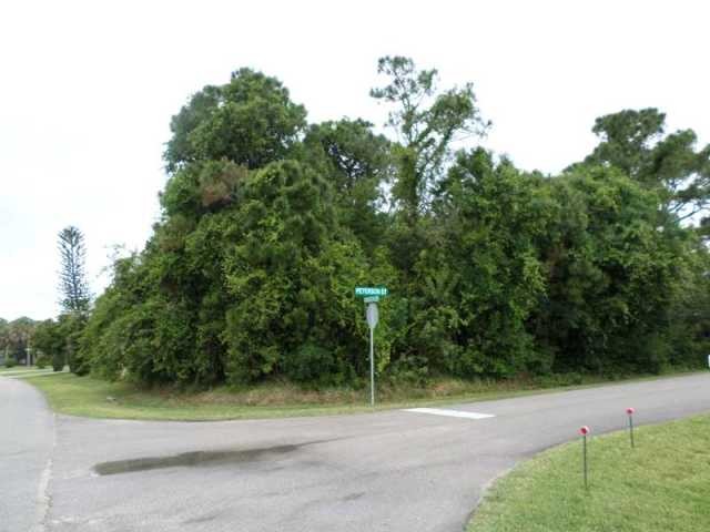 Land For Sale: 598 PETERSON ST - 2