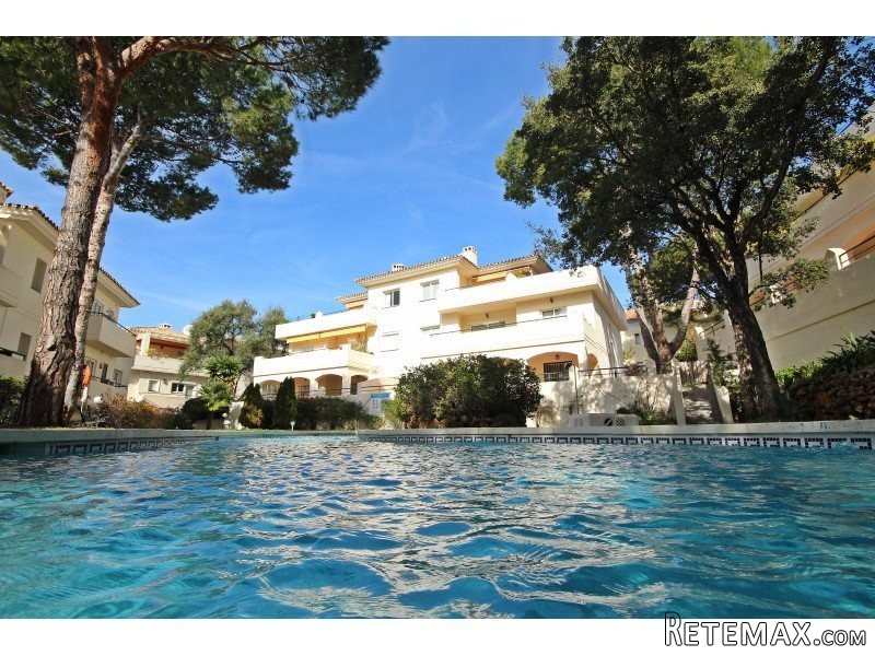 3 Bedroom Penthouse Apartment