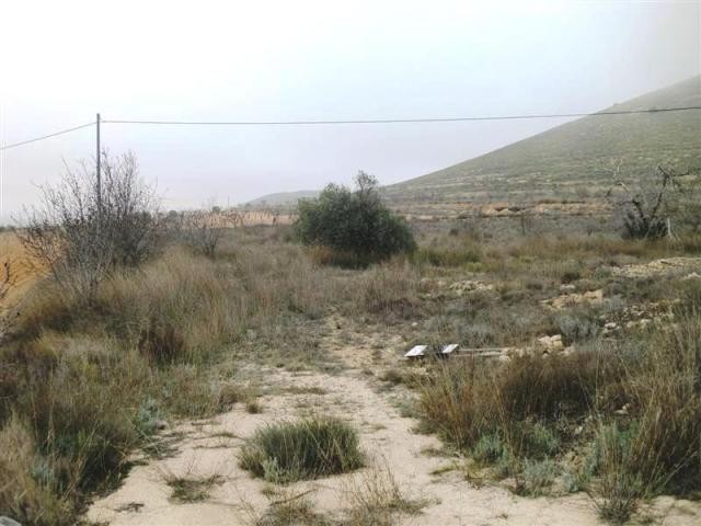 Plot of land including water and..