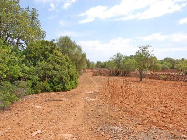 Generous plot close to the ammenities.. - 2