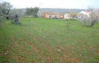 For Sale: Plot In Central Algarve.. - 2